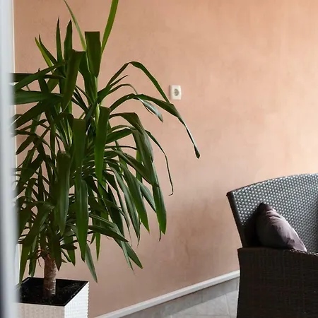 아파트 Damant 자다르